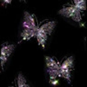 Meet your Posher, Brandy